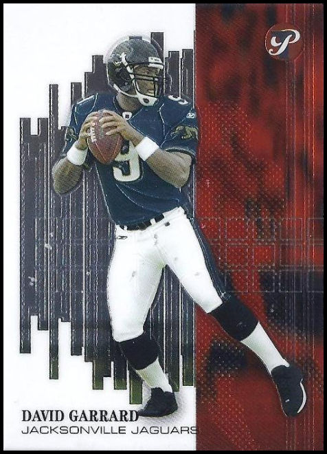 02TP 163 David Garrard.jpg